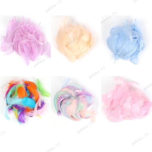 100pcs beautiful ostrich - 100pcs,