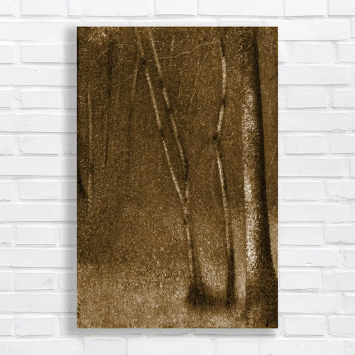 Mossy forest impressionist - mossy,