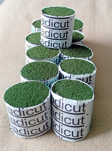 Latch hook readicut - rug, making