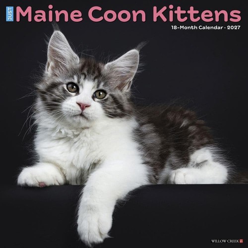 Willow creek press maine coon - press,