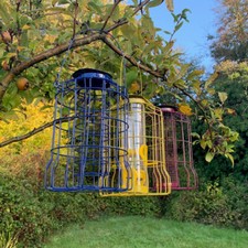 Hanging squirrel proof bird - hanging,