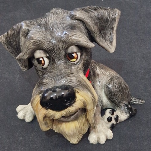 Little paws schnauzer - little,
