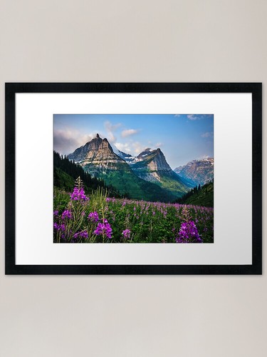 Beautiful mountain flowers - beautiful,