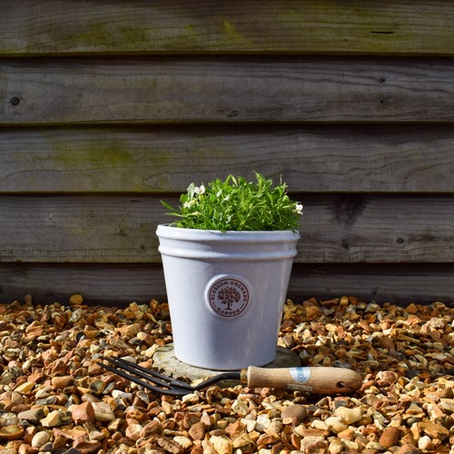 Plant pot ceramic 20cm - ceramic,