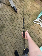 Fishing Rod for Fresh Water Fishing