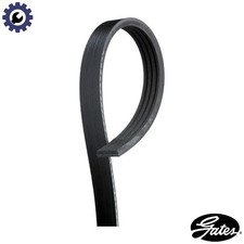 VRIBBED BELT 4PK970 FOR