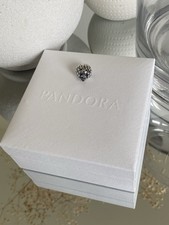 Pandora Harry Potter Hermione
