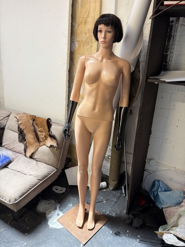 Female mannequin full comes - female, full,