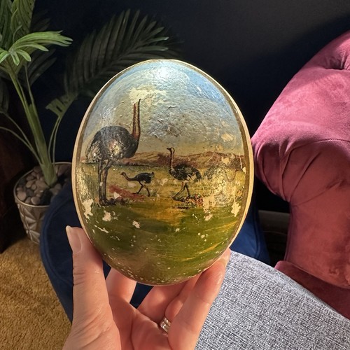 South africa ostrich egg - africa,