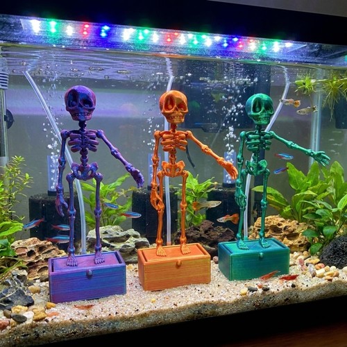 Dancing skeleton aquarium - dancing,