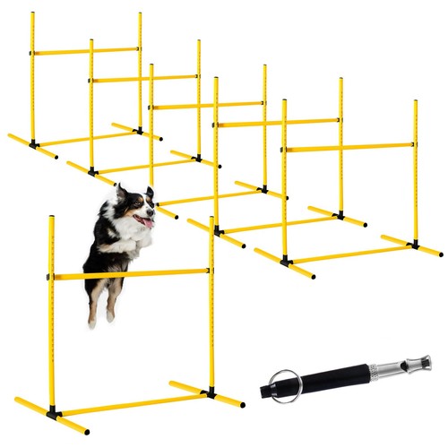 Pcs dog agility - agility, training