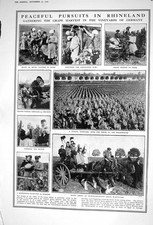 Old Vintage Print 1922 Grape