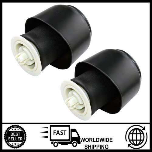 Rear air suspension spring - rear,