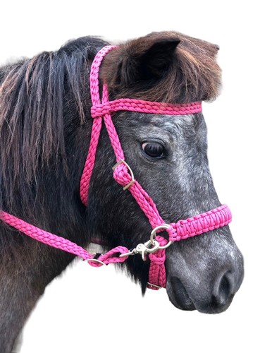 Pony bitless bridle and - bitless,