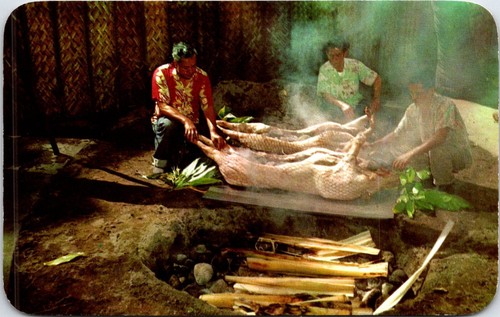 Postcard luau pig roast - postcard, imu