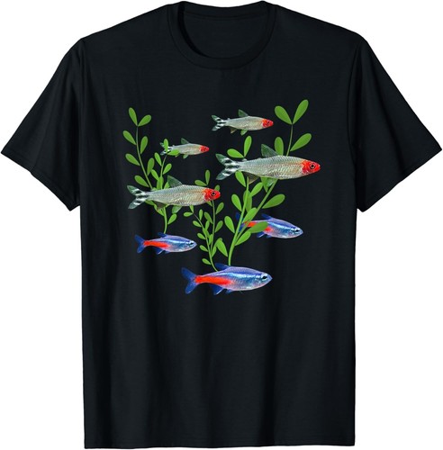Tetras aquarium neon - tetras,