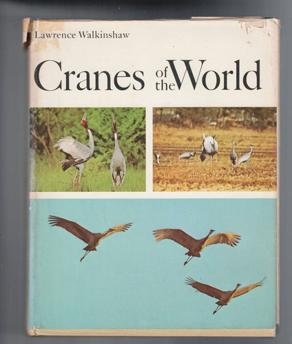 Birds cranes the world by - the,