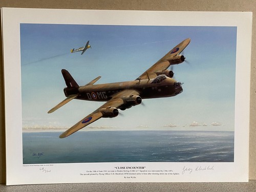 Squadron aviation art short - squadron,