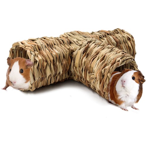 Bwogue hamster grass - hamster,