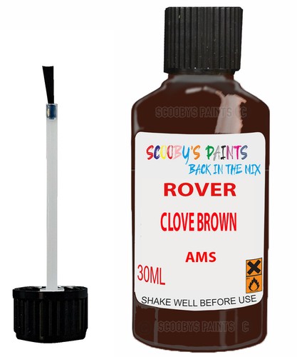 Paint for rover clove brown - paint,