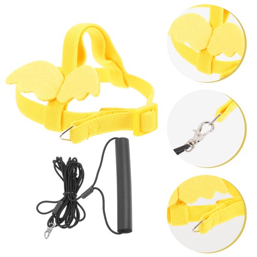 Set parrot flying tool - , bird