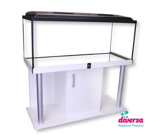 Diversa aquarium with - aquarium,