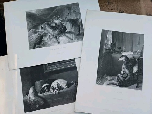 Edwin henry landseer 1800s - landseer,