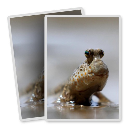 Vertical vinyl stickers - 2x,