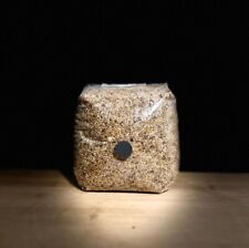 500g autoclaved sterile millet mushroom grow bags - Babayani's