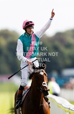 FRANKEL TOM QUEALLY PHOTO
