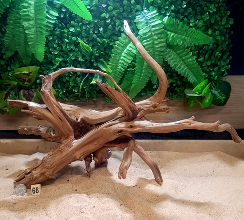 Claro slim wood root aquarium - root,