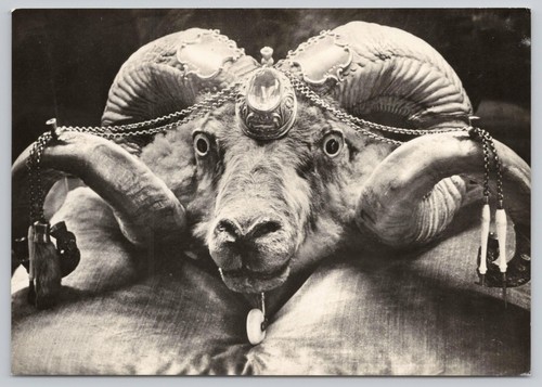 Bizarre weird ram - bizarre,