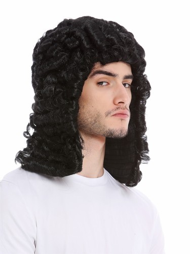 Wig men carnival english - men,