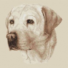 Labrador dog cross - cross, stitch