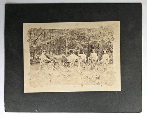 Antique boarded cabinet photo - antique,