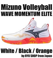Mizuno Volleyball Shoes WAVE