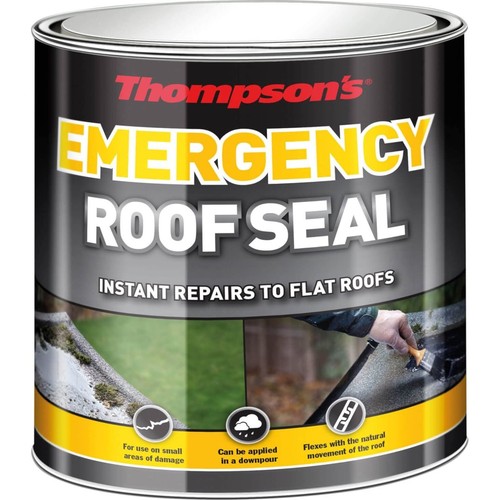 Thompson emergency roof seal - roof,