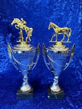 Equestrian Silver Cup Trophy Award Pony Club Horse Showjumping FREE engraving