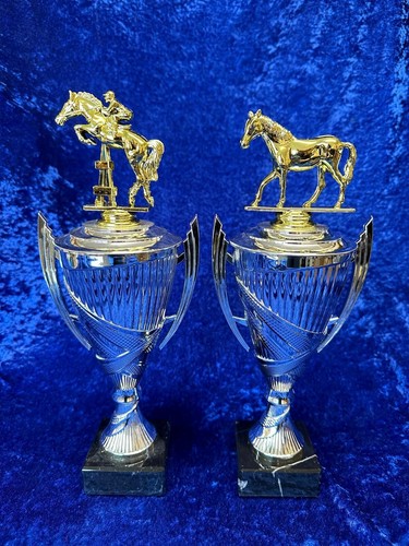 Equestrian silver cup - cup, trophy