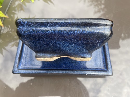 Small bonsai pot and - pot,