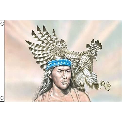 Flag indian with eagle - az,