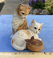 Country Artist Kittens With