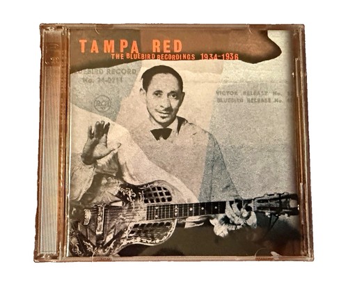 Tampa red the bluebird - tampa,