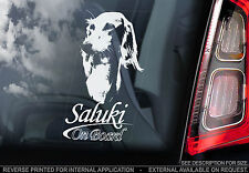 Saluki - Car Window Sticker -
