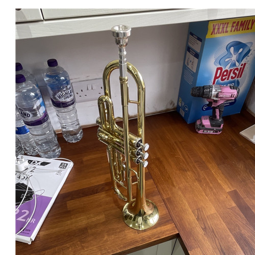 Stagg trumpet gold finish 3 - bb,