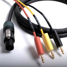 Naim Amp to REL Subwoofer