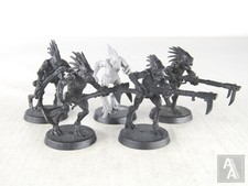 (5497) Kroot Carnivores Squad T'au Tau Empire 40k Warhammer