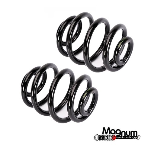 Coil spring rear t3 t25 - coil, x