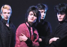 Siouxsie and the Banshees