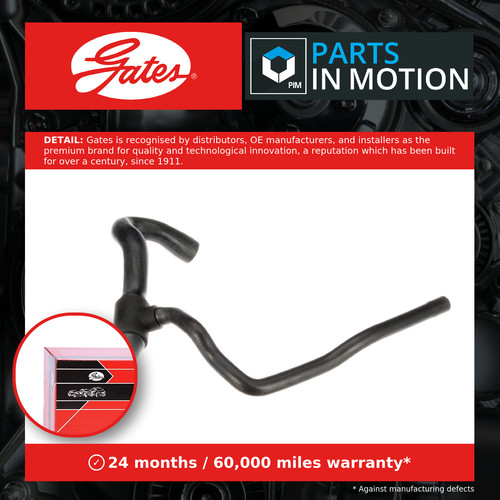 Radiator hose lower - radiator,